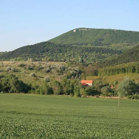 Pilisborosjenő Malomdulo Farmhazゲストハウス エクステリア 写真