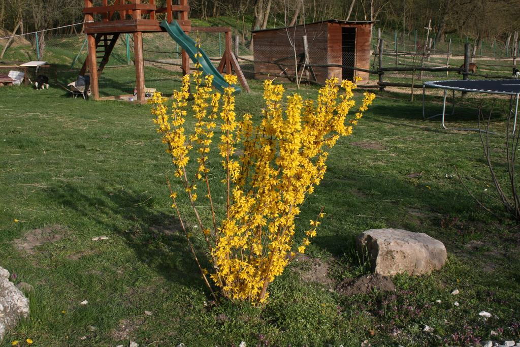 Pilisborosjenő Malomdulo Farmhazゲストハウス エクステリア 写真